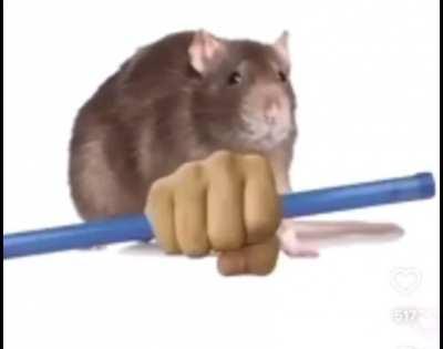 congratulations sailor! you made it to Friday!