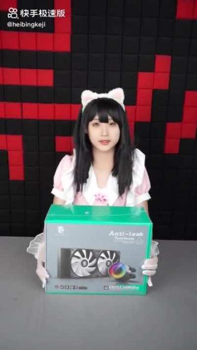 Catgirl Maid and a PC Build