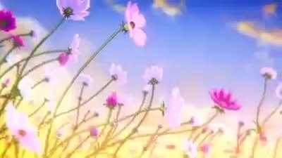 Now let's see you like or hate me