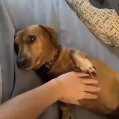 Uma coisa fofinha nesse subreddit cancerígeno :p