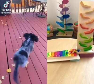 His people need him.