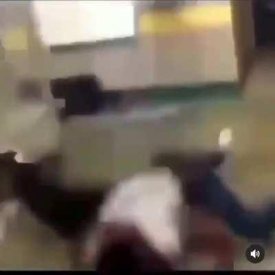 Doboys trying get A free gift 🎁