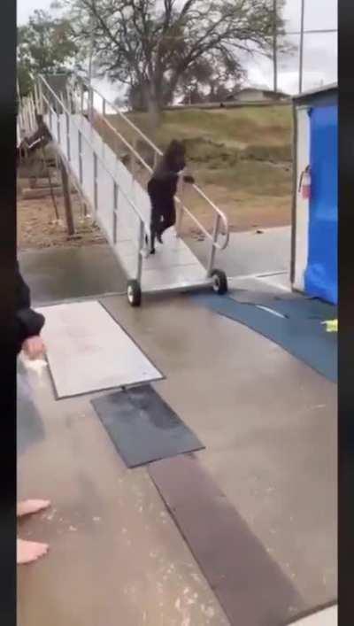 HMB while I slide down this ramp