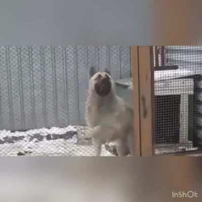 The song is a bop (don't know if this belongs here but whatever