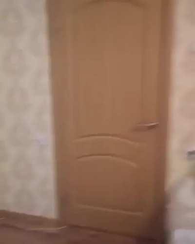 literally this sub rule