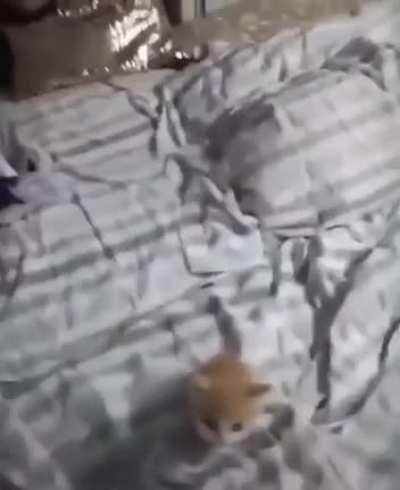 ▓▓▓▓▓▓▓▓▓▓▓▓▓▓▓▓▓▓▓▓▓▓▓