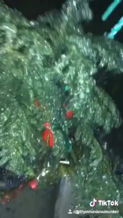 If you listen closely you can hear my mom tell me to be careful right before I bust my back