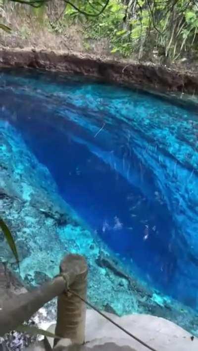 🔥 A crystal clear pool in the Enchanted River in the Hinatuan, Surigao del Sur, Philippines