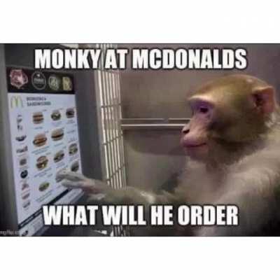 Monki is gonna be fatt 😳😳😳😳😤