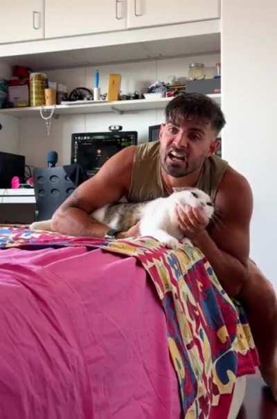 Watch a cat lose all 9 of its lives, internally.