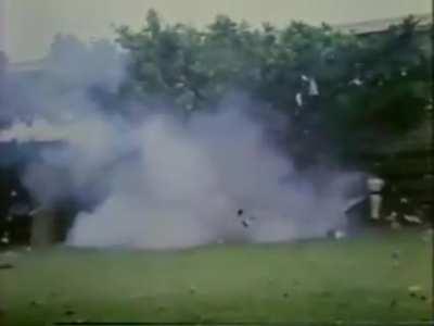 That's a small gu.....