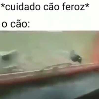 Woodszin - Video #6300