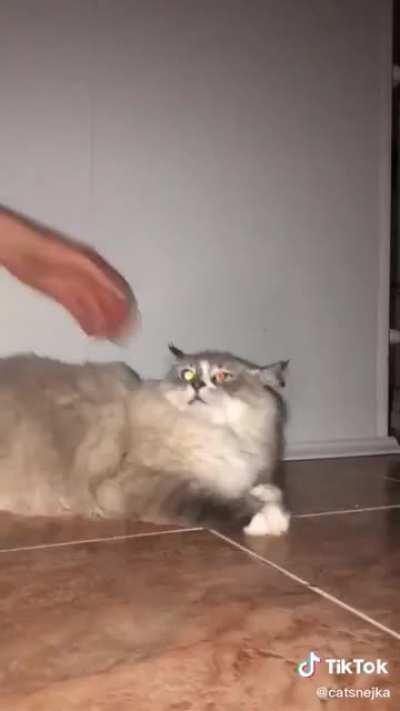 Leave me alo o o o one