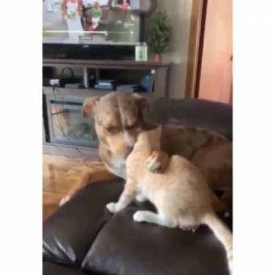 You've always gotta clean your food before you eat it!!