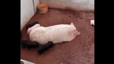 They spin right round mama… what do when it stops? Just spin the other way. (added some fitting music)