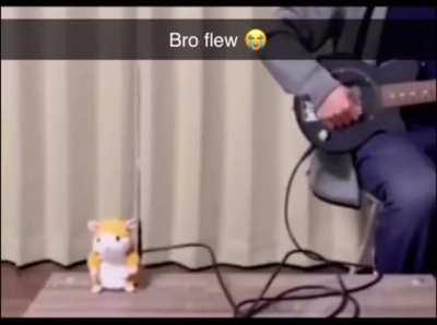 Legend has it he never returned