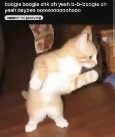 Boogie Boogie shk oh yeah b-b Boogie yeah baybee oooowoooooohooooooo
