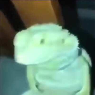 DylanteroYT - Video #7824