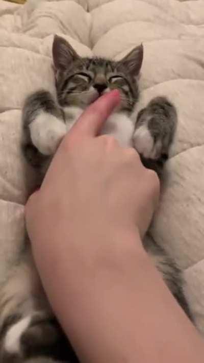 Let me sleep dam you!