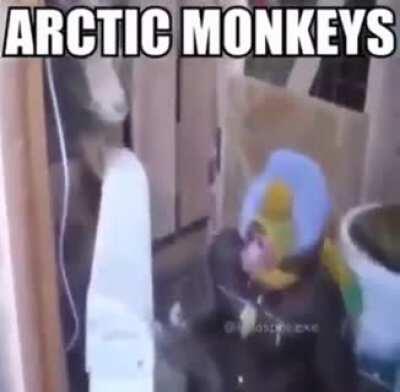 ¿Te gustan los Artic Monkeys? 👉👈