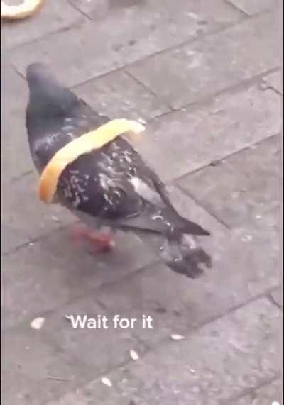 Propaganda machine is working hard today