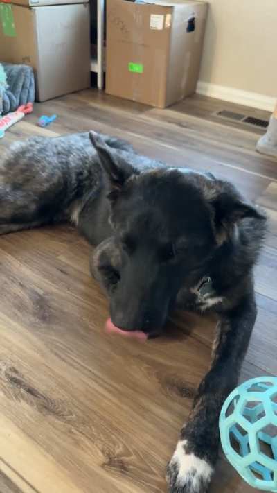 Did I make my boy uncomfortable?