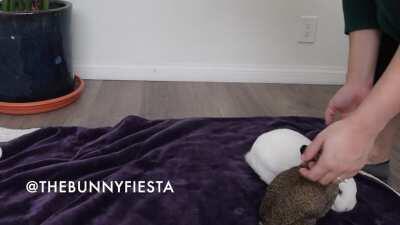 Beam Me Up Scotty! Video In the Comments.