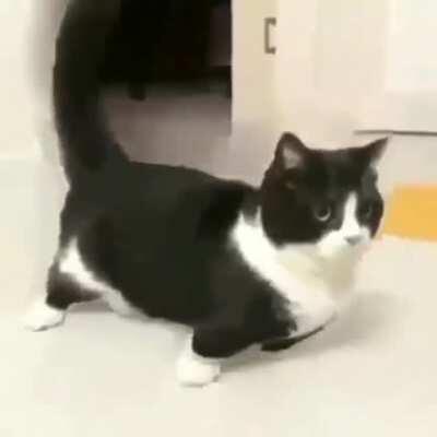 Day 8 of posting random stuff I have on my phone