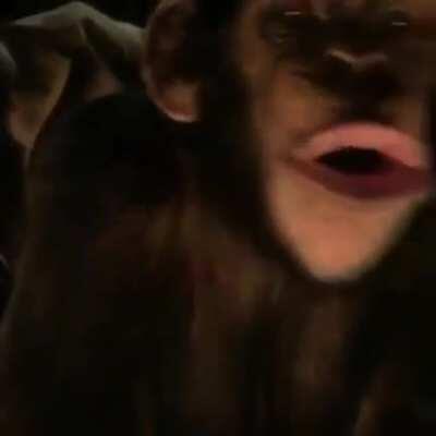 Monke