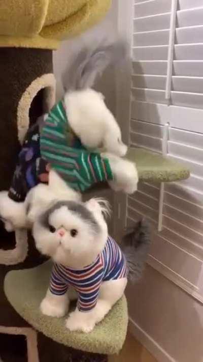 Под горячую лапку попал