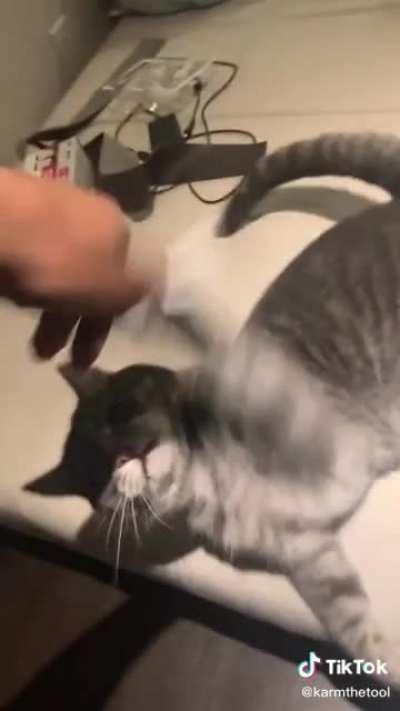 Mom: We have Attack on Titan at home