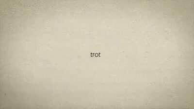 Analysis of the various gaits a dog uses