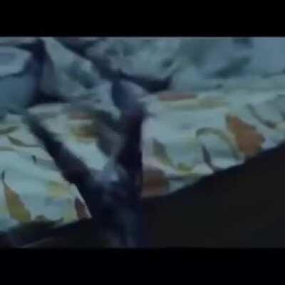 Got what he deserves