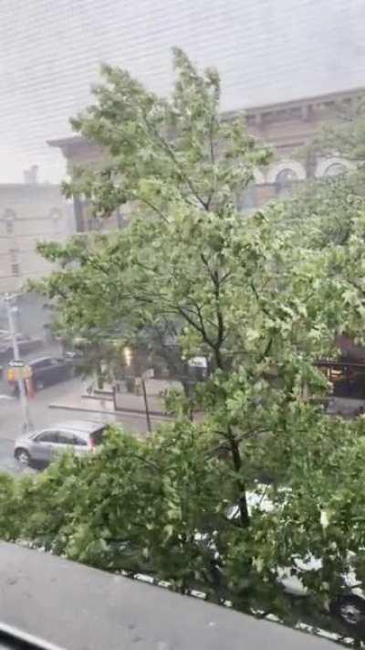 Thunderstorms in Brooklyn are the coziest.