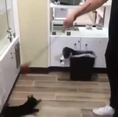 Straight into the bin