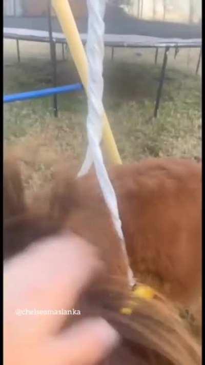 I don’t need both hands, I need to film… plus the clip at the end