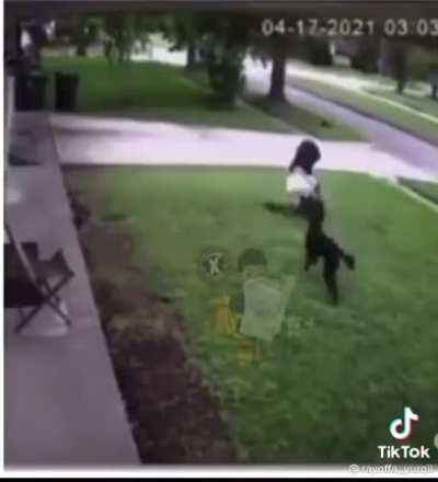 Man destroys a coyote that tried to hurt his dog