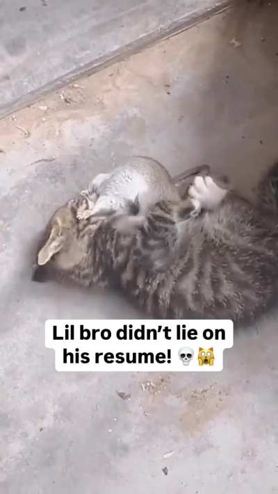 🔥Nature's perfect killing machine🔥