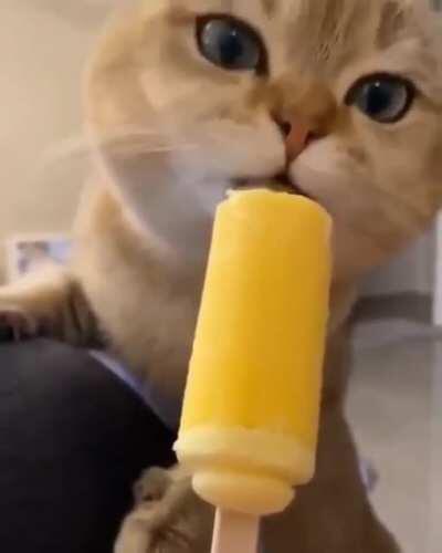 you seeing this shit?