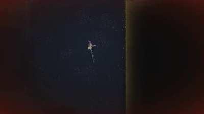 excuse me WHAT WAIT DONT WHAT