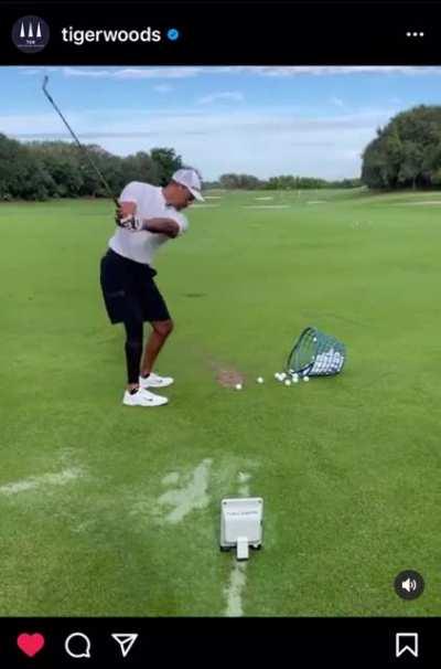 STAY CALM!! IT’S HAPPENING 🐅