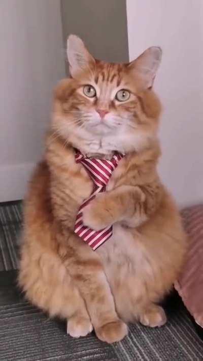 He does look smart...