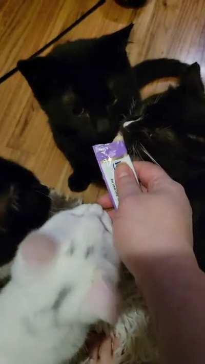 Mess hall of the criminally smol