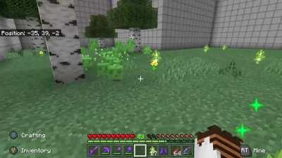 I was today years old when I found out baby slimes can't hurt you and now I love my little slime frans