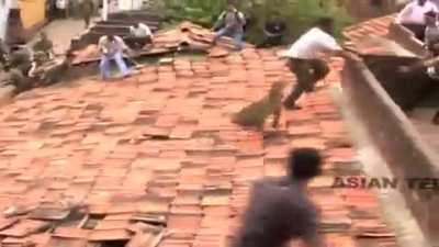 When you're just trying to fix the hole in the roof but discover the cause!