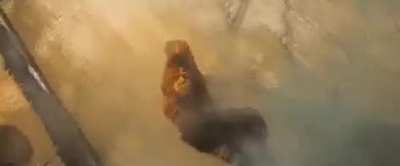 I can actually enjoy stuff like this When The Adderall Drops