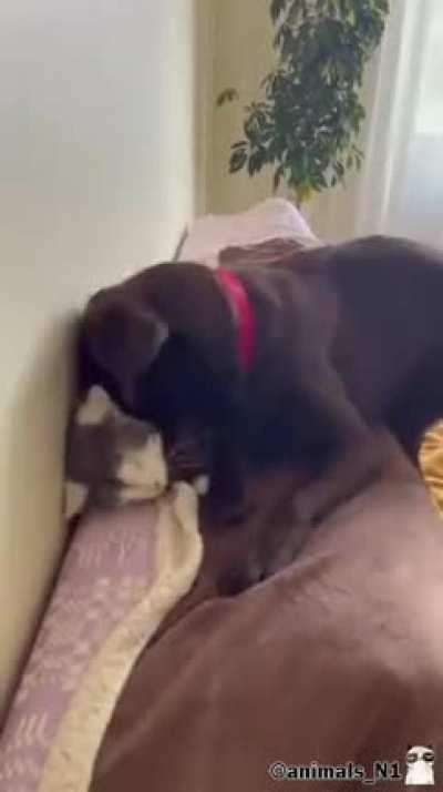 True friendship cannot be much