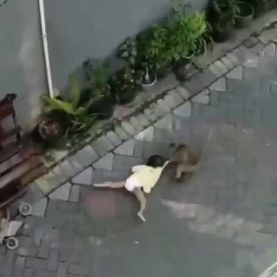 Horror chronicle. A monkey on a bike rushes into the company of children and grabs the child ... The monkey is fastened to a very long leash ...