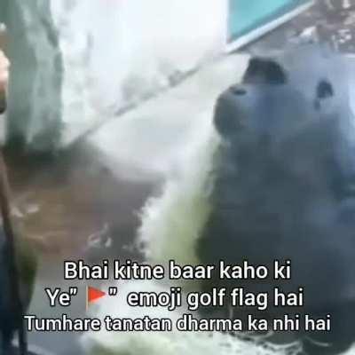 average chintu thing