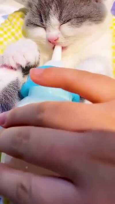 Public intoxication, that's a felony.